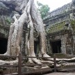 Ta Prohm de Angkor