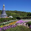 Excursión al Parque Nacional de Doi Inthanon