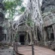 Ruinas de Angkor Wat
